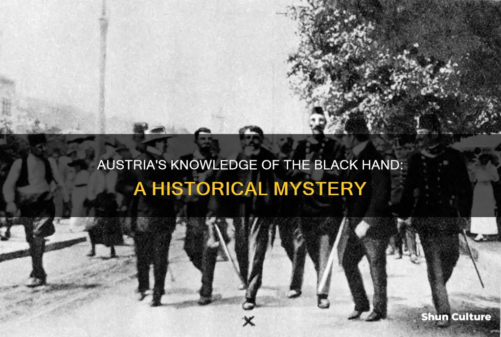 what the austrian government knew about the black hand