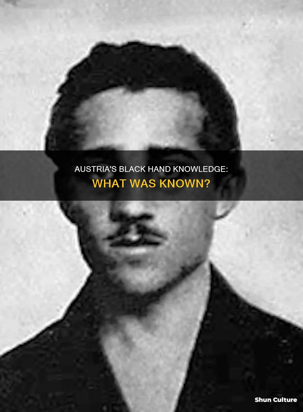 what the austrian government knew about the black hand