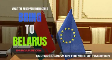 A Brighter Future: EU Membership Benefits for Belarus