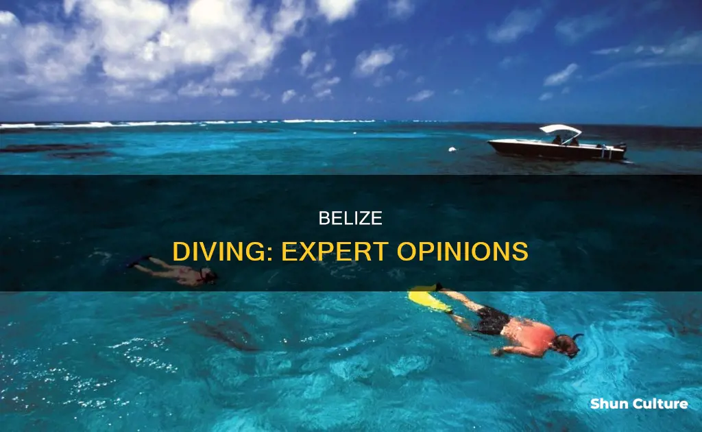 what the experts say about belize diving