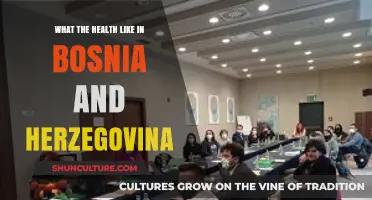 Exploring Bosnia and Herzegovina's Healthcare System: Challenges and Opportunities