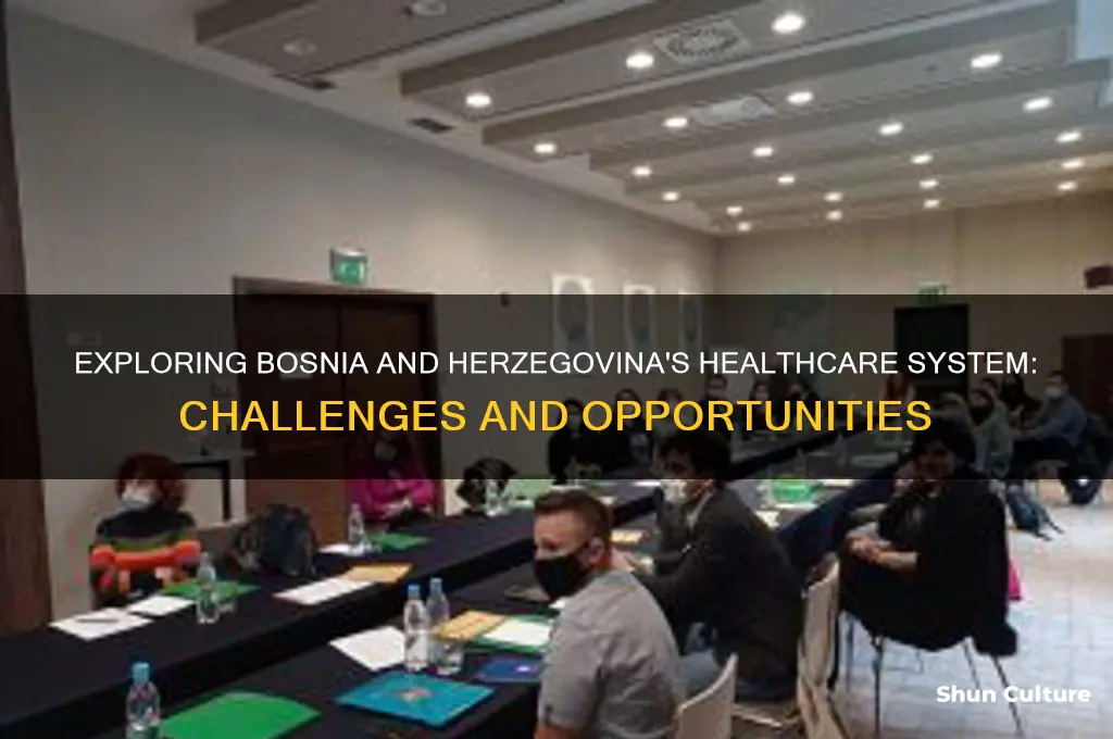what the health like in bosnia and herzegovina