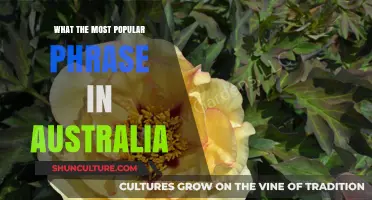 Aussie Slang: Popular Australian Phrases Explained