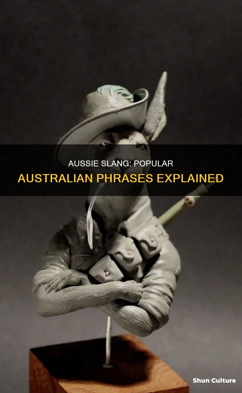 what the most popular phrase in australia
