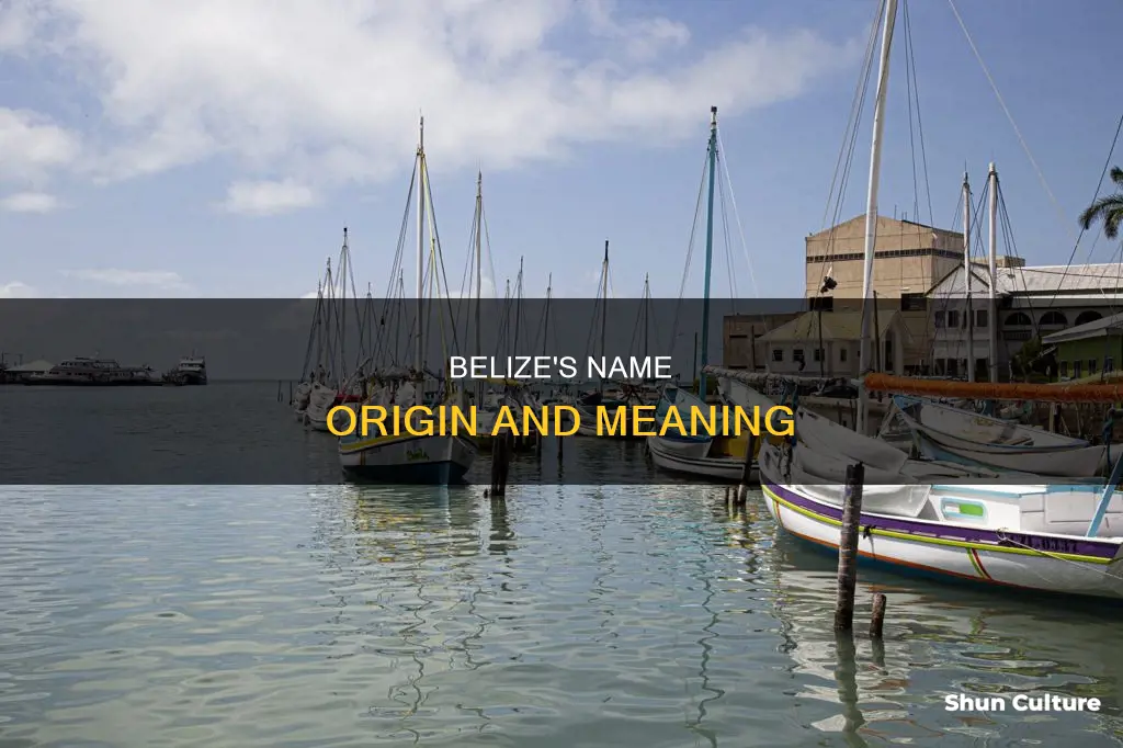 what the name of belize means