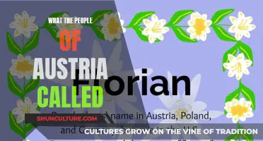 Unveiling Austria's Nicknames: A Cultural Journey