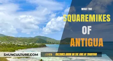 Exploring Antigua's Unique Squaremikes: History, Culture, and Local Charm