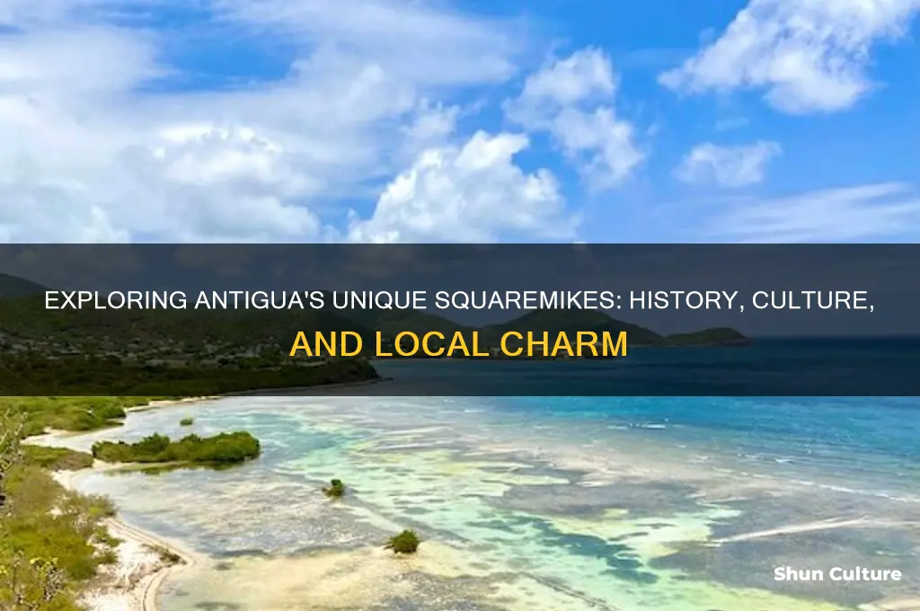 what the squaremikes of antigua