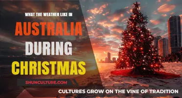 Christmas in Australia: Sunny Skies, Warmth, and Unique Holiday Weather