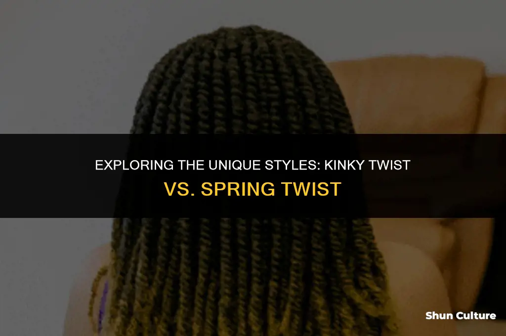 what the.difference benin kinky twist and spring twist
