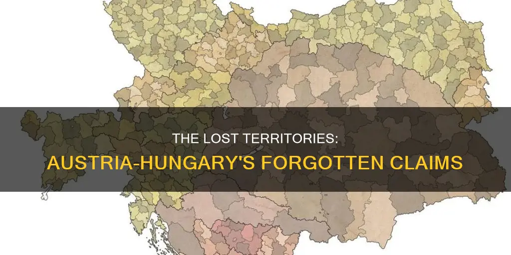 what thought some lands within austria hungary belonged to it