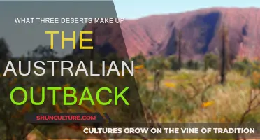 Exploring the Australian Outback: 3 Iconic Deserts