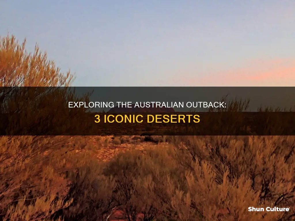 what three deserts make up the australian outback