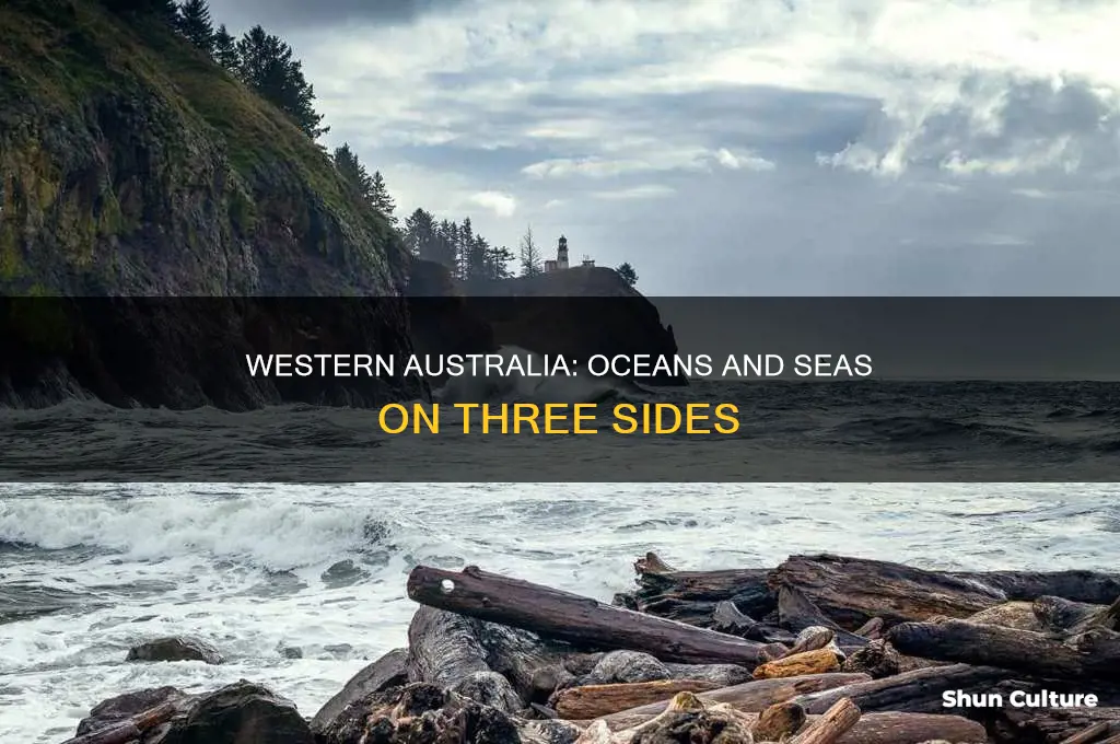 what three large bodies of water border western australia