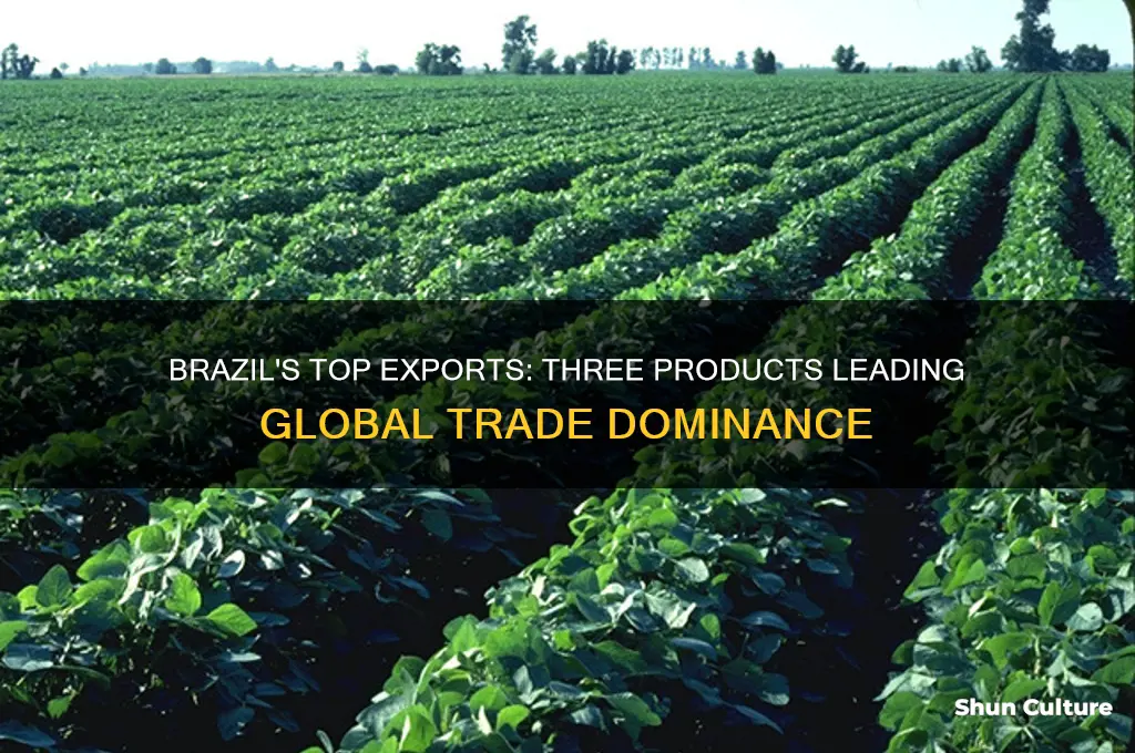 what three products does brazil export more than other countries