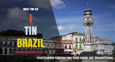 Exploring Brazil's Time Zones: What Time Is It in Brazil?
