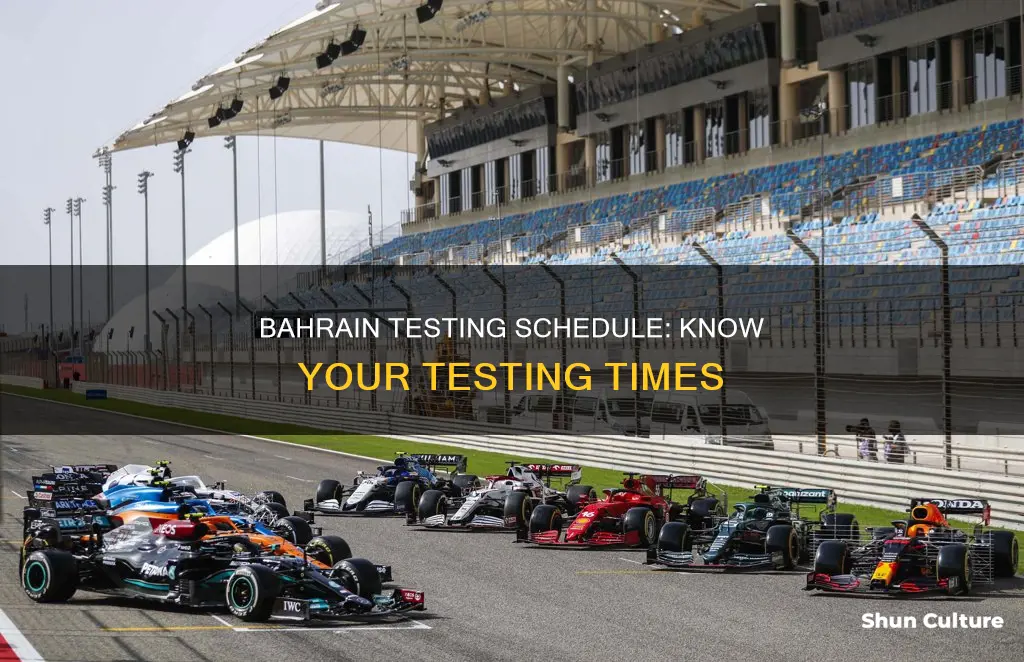 what time does bahrain testing start