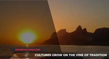 Sunset in Rio: When Darkness Falls in Rio de Janeiro