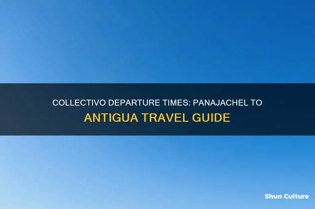 what time does the collectivo leave panachel for antigua