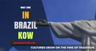 Current Time in Brazil: How to Know the Exact Hour Now