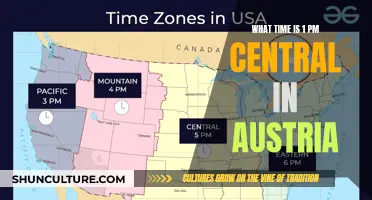 Central Time Conundrum: 1 PM in Austria