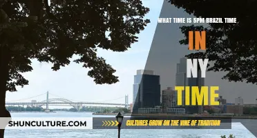 Brazil to NY Time Conversion: 5 PM in Rio to NYC Clock