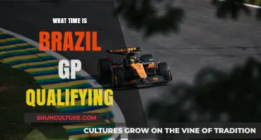 Brazil GP Qualifying Time: When and Where to Watch Live
