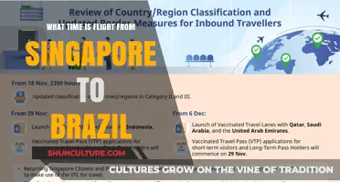Singapore to Brazil Flight Times: Your Ultimate Departure Guide