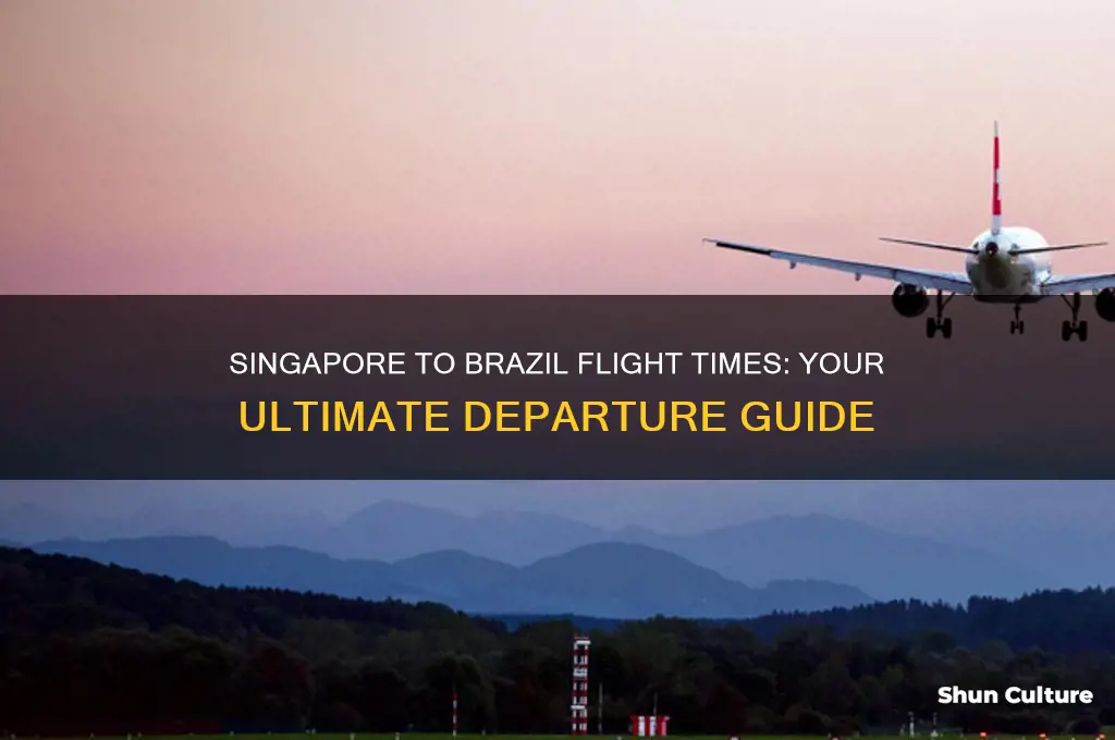 what time is flight from singapore to brazil