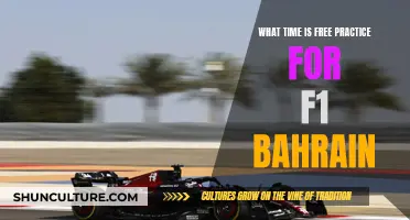 Free Practice Sessions: Bahrain F1 Timing