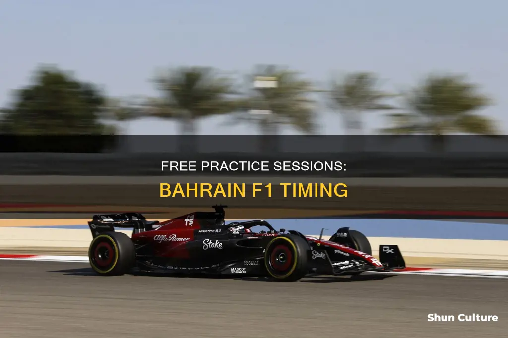 what time is free practice for f1 bahrain