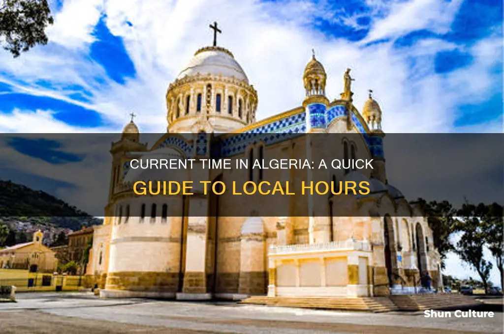 what time is in algeria right now