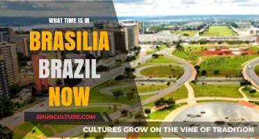 Current Time in Brasilia, Brazil: Your Instant Time Zone Guide