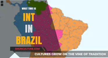 Current Time in Brazil: A Quick Guide to Brazilian Time Zones