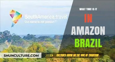 Current Time in Amazon Brazil: A Quick Guide for Travelers