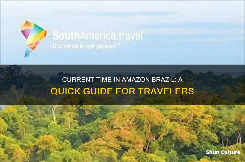 what time is it in amazon brazil