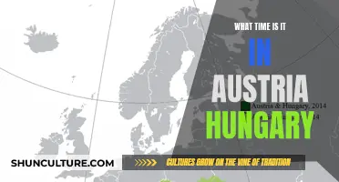 Time Zones: Austria & Hungary's Clock Synchronization