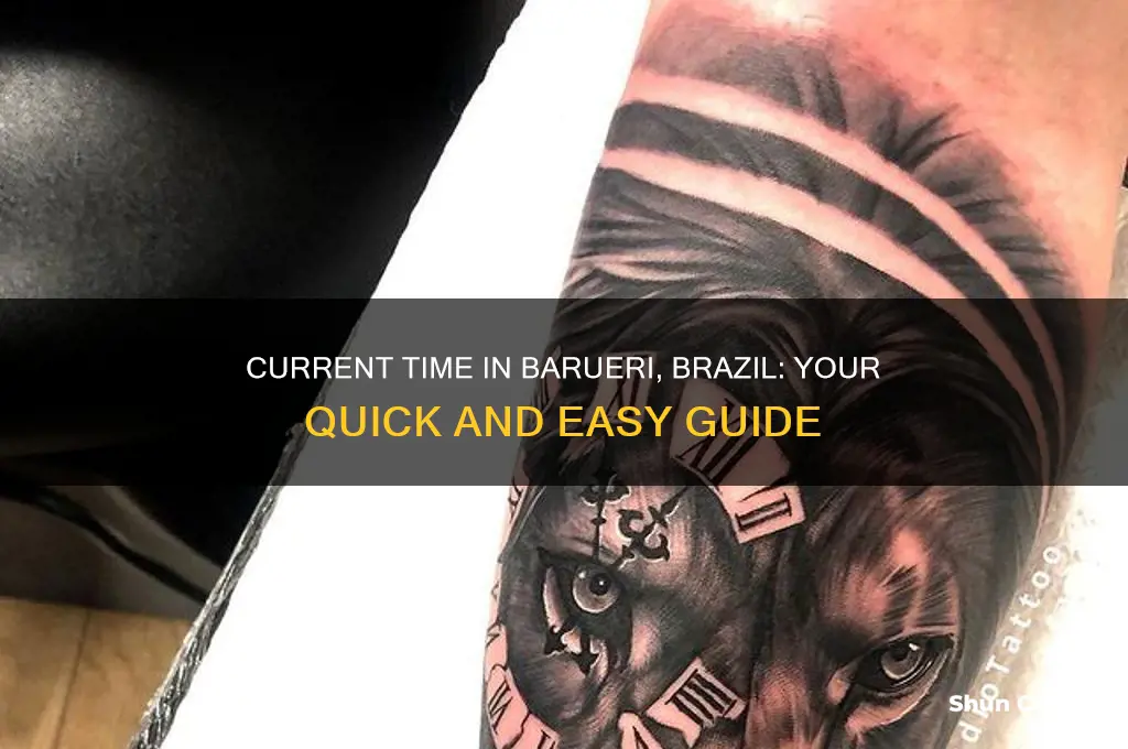 what time is it in barueri brazil