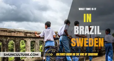 Current Time Zones: Brazil vs. Sweden Compared for Travelers
