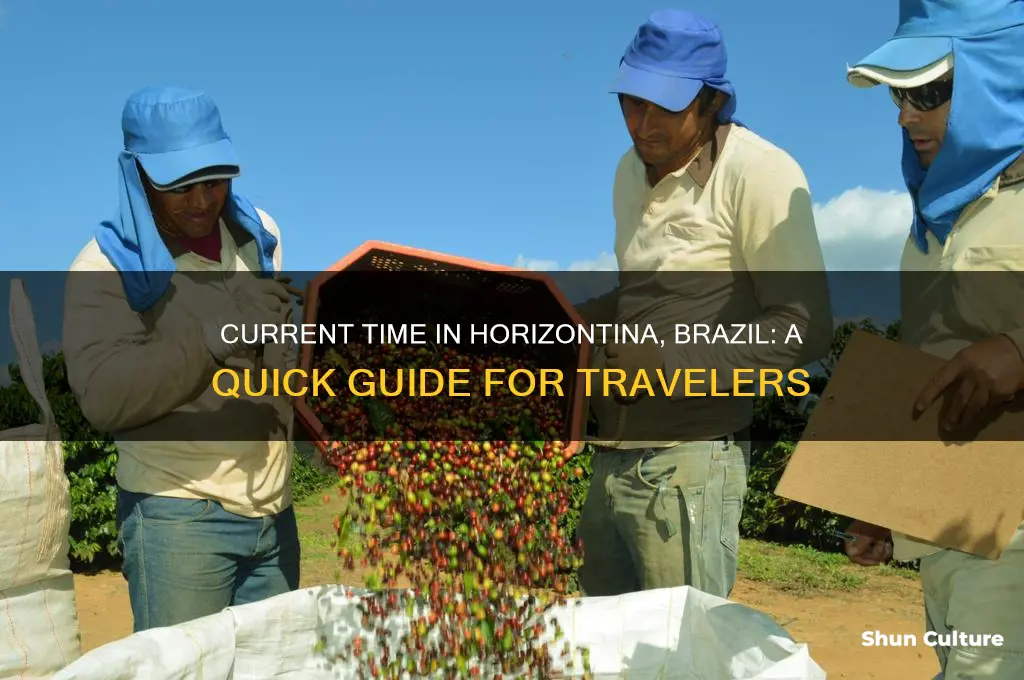 what time is it in horzentina brazil
