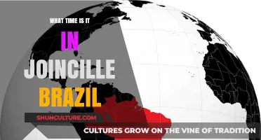 Current Time in Joinvile, Brazil: Your Quick and Easy Guide