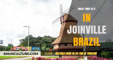 Joinville, Brazil: Current Time and Time Zone Explained