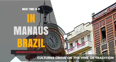 Manaus Time Zone: Current Local Time in Brazil's Amazon Hub