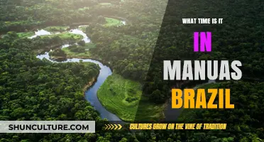 Current Time in Manaus, Brazil: A Quick Guide for Travelers