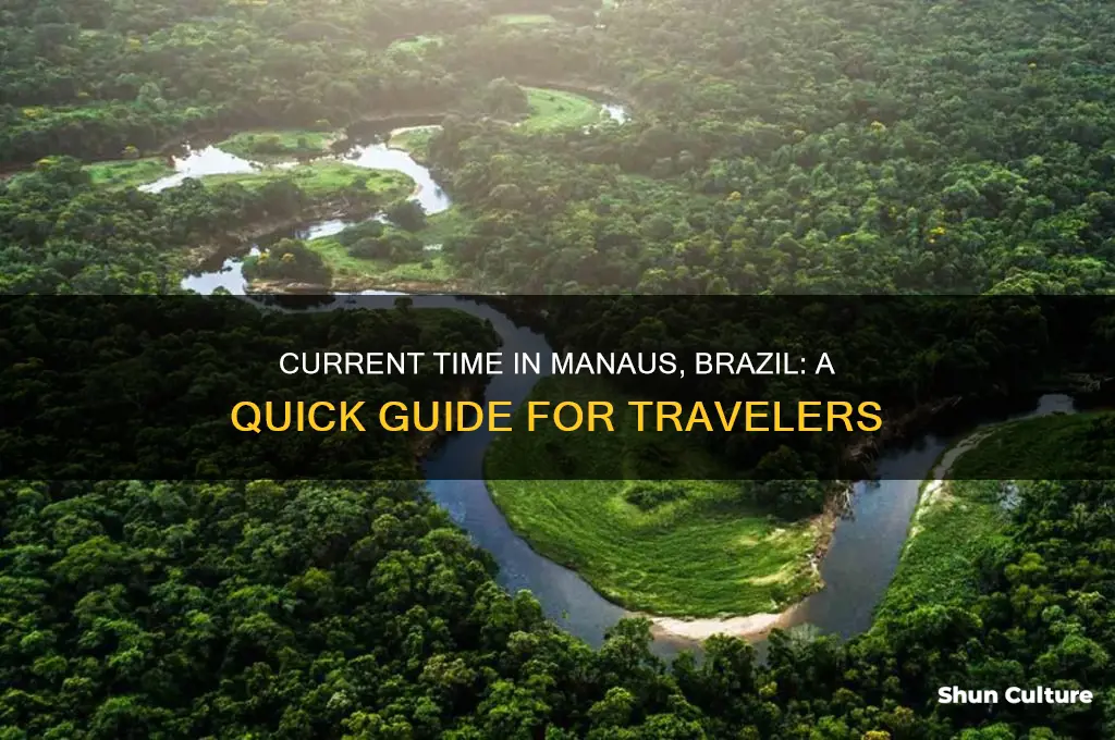 what time is it in manuas brazil