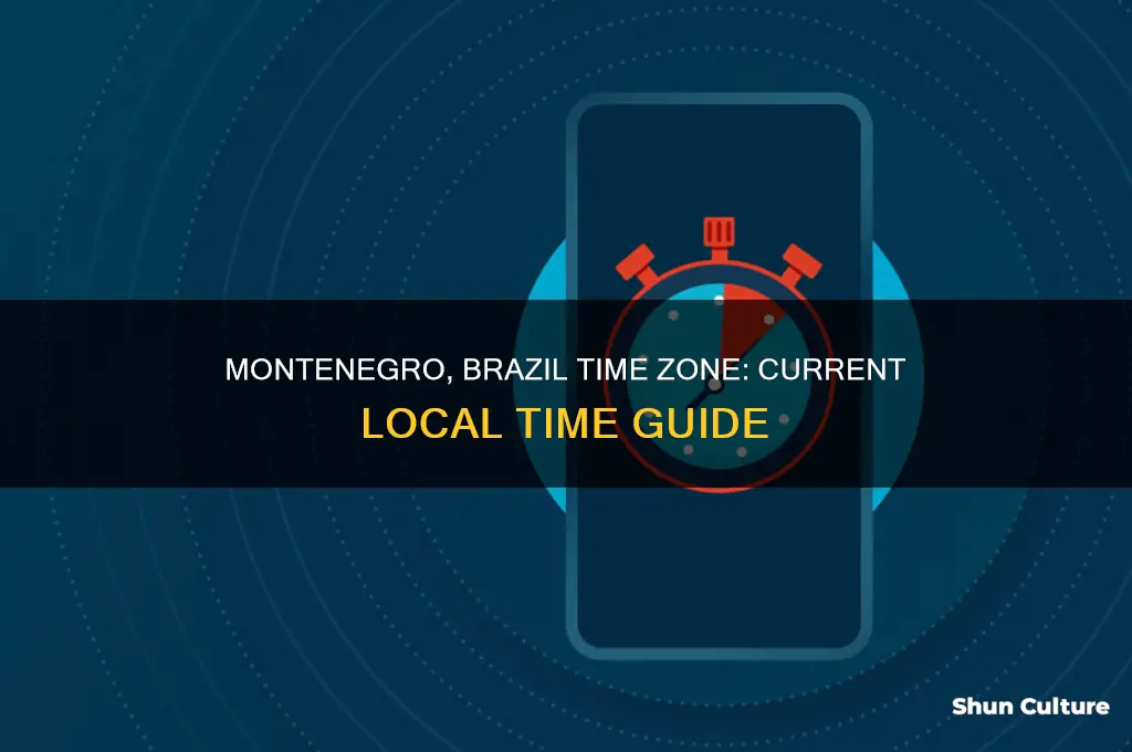 what time is it in montenegro brazil