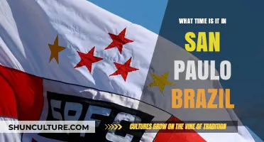 Current Time in São Paulo, Brazil: Your Quick Time Zone Guide