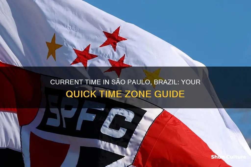 what time is it in san paulo brazil