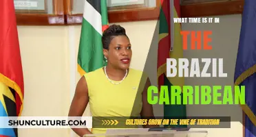 Brazil Caribbean Time Zones: Current Local Time Guide