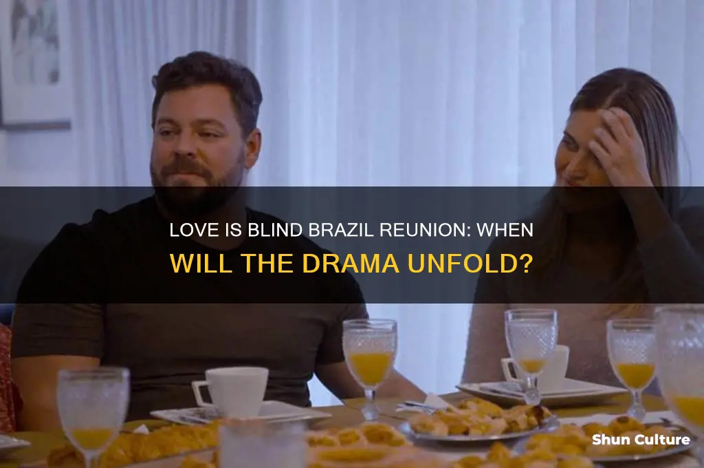 what time is love is blind brazil reunion